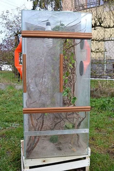 Vybavená terária 96x44x44